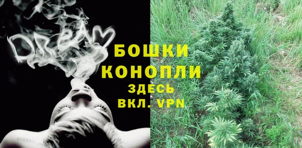 шишки Белоозёрский