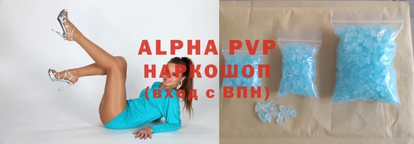шишки Белоозёрский