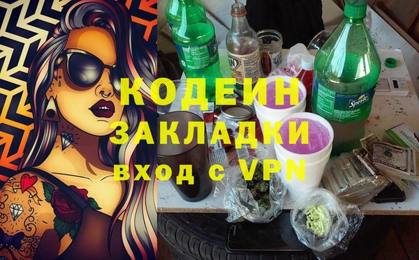 шишки Белоозёрский