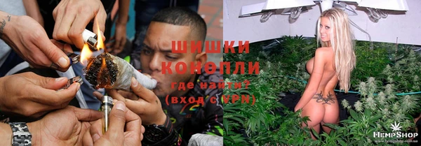 стаф Беломорск