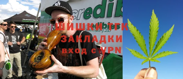 шишки Белоозёрский