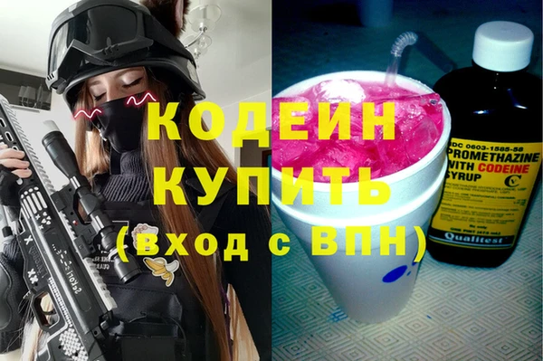 шишки Белоозёрский