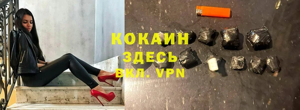 шишки Белоозёрский